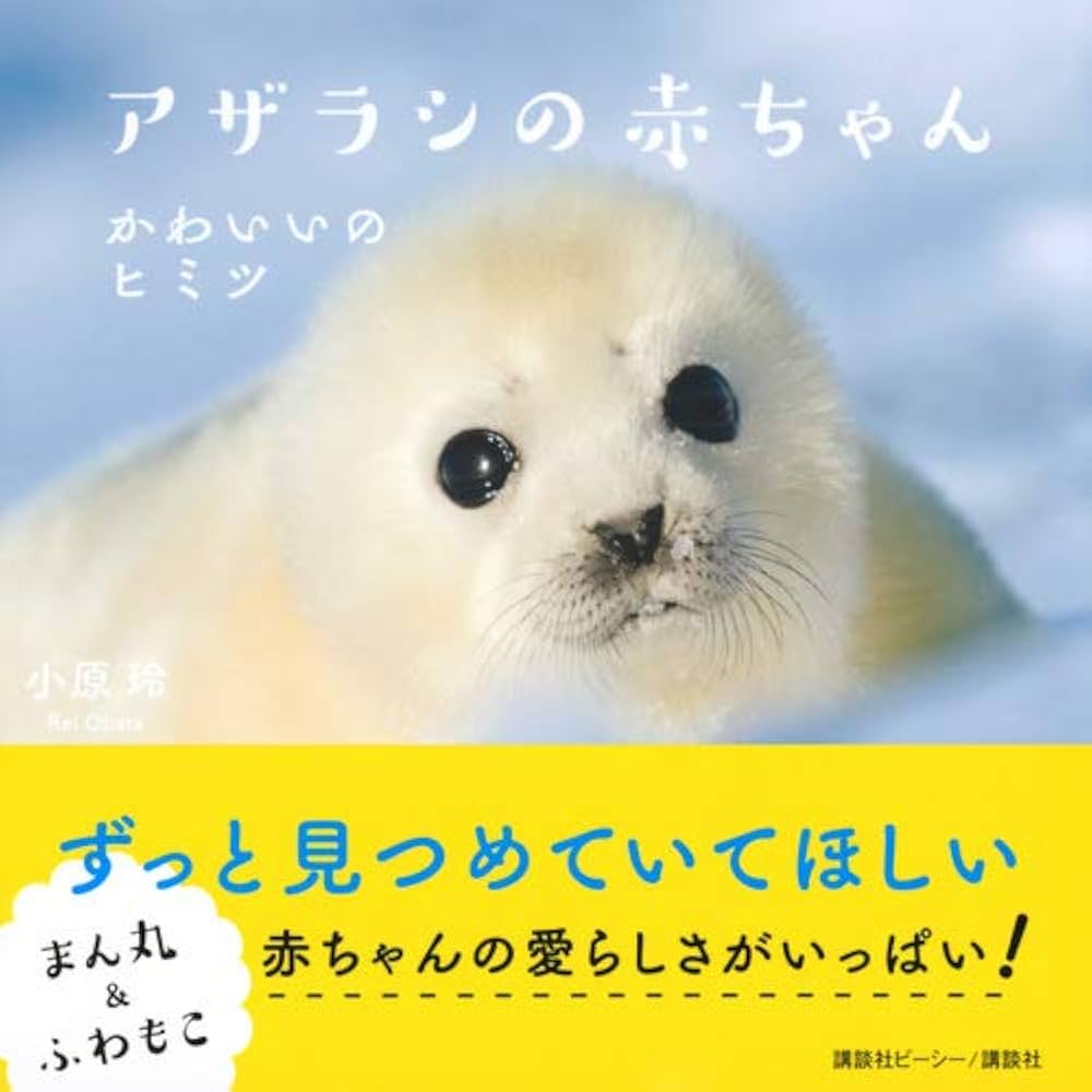 アザラシの赤ちゃん かわいいのヒミツ : 小原 玲: Amazon.sg: Books