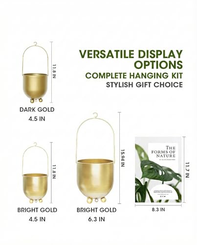 Pots de fleurs pour mur et plafond de 16 cm : le set de suspensions AceList - 3