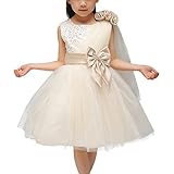 GloryStar Princess Dress for Child Wear Wedding Party