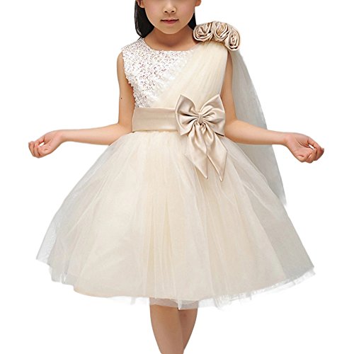 GloryStar Princess Dress for Child Wear Wedding Party