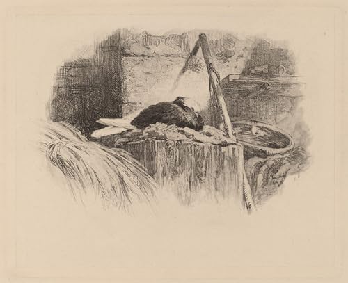 Póster de arte en lienzo Piccione sul nido de Karl Bodmer, cuadro de 60x90cm