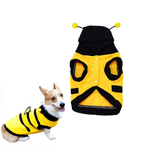 Delightful Bee Costume Accessories That Really Buzz Carolina Honeybees