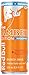 Red Bull Sugar Free Amber Edition, Strawberry Apricot Energy Drink, 8.4 fl oz