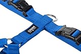 Chaba Guard Hundegeschirr für kleine und mittelgroße Hunde mit Kontrolle, Anti-Zug & Würgen, Verstellbar, Bequem und Leicht, Classic Step-in Brustgeschirr, Dog Harness, Größe M, BLAU