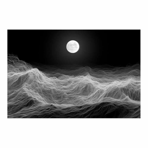 Affiche noir et blanc Ondes de la Montagne Lunaire XENIOU decoration murale salon 60x90cm