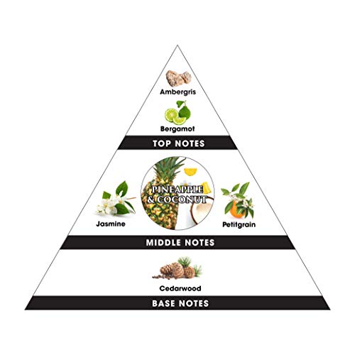 Ecoaroma Scented Candles Organic Coconut-Soy Wax. Natural Flower Extract Fragrance Oils Premium Botanical Candle Pack 2-12 Oz Jars Pineapple Coconut #TOP7