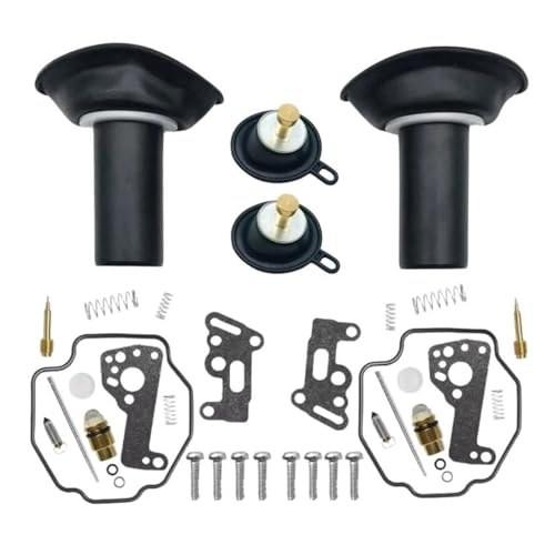 Kit carburateur Virago XV535 pour remise en route après hivernage avec piston et membrane