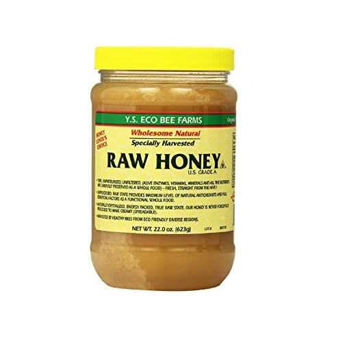 Y.S. Eco Bee Farms Raw Honey - 22 oz, Pack of 2