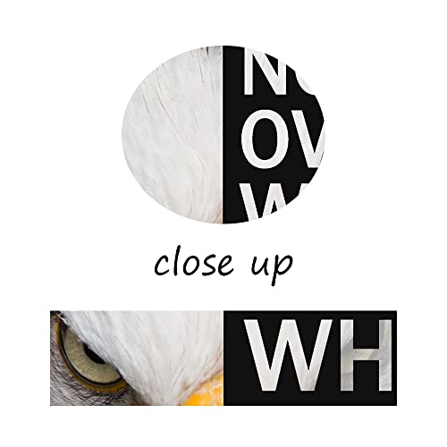 Wyjzdzq8 Animal Motivational Canvas Office Print Wall Art Eagle Inspirational Picture Animal Poster Painting Modern Inspiring Artwork For Home Living Room Office Decor Ready To Hang [12''W X 18''H] #TOP4