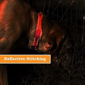 Pawblefy Personalized Dog Collars  Reflective Nylon Collar Customized with Name and Phone Number Adjustable Sizes for Small Dogs Medium Large 4 Colors Male Female Boy Girl Puppies  Cucciolini Doodles Pawblefy personalized dog collars  reflective nylon collar customized with name and phone number adjustable sizes for small dogs medium large 4 colors male female boy girl puppies   cucciolini doodles