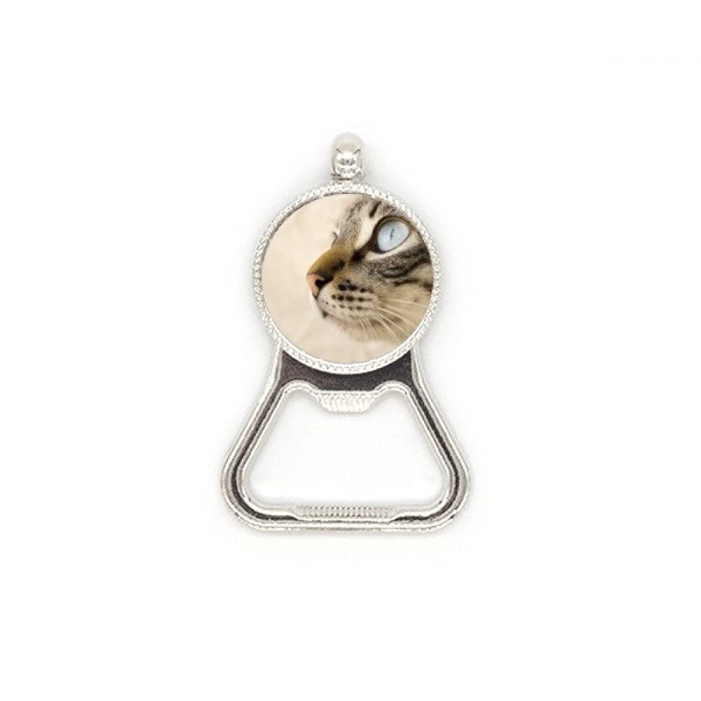 Décapsuleur bière inox motif chaton œil bleu idée cadeau