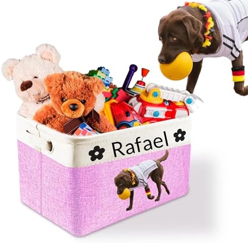 Amazon.com: Personalized Dog Toy Storage Basket Bin Collapsible with ...