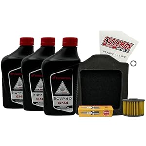 Cyclemax Standard Gn4 10W-40 Tune-Up Kit Compatible With 1983-1987 Honda Xl600R 1 41ukyaireul. sl500 . ss300