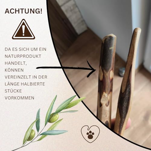 PetLove Kauholz für Hunde aus Olivenholz • Holzknochen als Hundespielzeug • Kauknochen als Zahnpflege & Kauspielzeug für Hund • Größe: S (60-99g) • Ideal für Welpen & kleine Hunde • 2er Pack