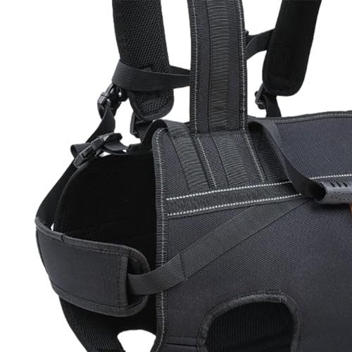 Sac à dos pour animaux de compagnie pour randonnée et balade mains libres