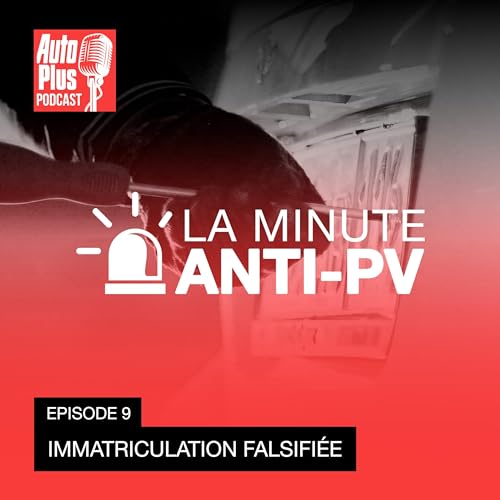 &Eacute;pisode 9 - Immatriculation falsifi&eacute;e