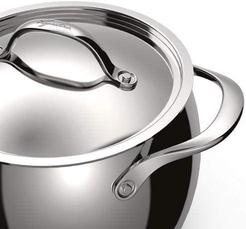 Lagostina Orchestra Deep Casserole Dish with Lid and Two Handles in Stainless Steel 18/10 Diameter 26 cm, Lagotherm Bottom 3 Layers, Mirror Effect Exterior and Interior Satin, for All Heat Sources