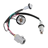 Briny River 1x Car Front Headlamp Wire Harness 811256A240 Compatible with Lexus GX470 2003–2009