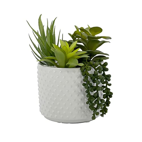 Galt International Faux Assorted Succulent Arrangement in White Dimpled Ceramic Porcelain Pot Planter 7.87