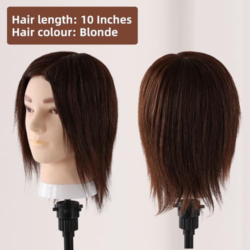Mann Frisierkopf 100% Echthaar, Frisurenkopf Männlicher Haarschnitt Übungskopf mit Haar, Friseur Kopf Mannequin Head Puppenkopf mit Tischklemme und Kammgarnitur