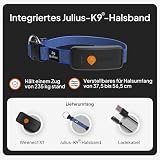 Weenect Hund XT - NEUES GPS-Halsband für Hunde | XL-Antenne | Wasserdicht | Hyperresistentes integriertes Julius-K9 Halsband Blau Abonnement erforderlich