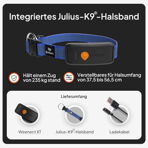 Weenect Hund XT - NEUES GPS-Halsband für Hunde | XL-Antenne | Wasserdicht | Hyperresistentes integriertes Julius-K9 Halsband Blau Abonnement erforderlich
