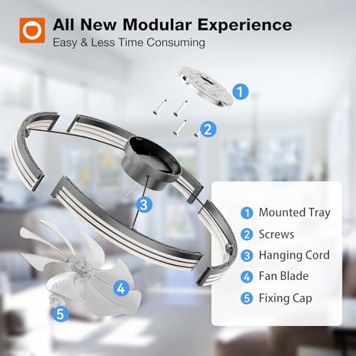 Image of addlon Ceiling Fans with Lights and Remote, 24'' Low Profile Ceiling Fans, 3000-6000K Dimmable Modern Flush Mount LED Fan Light, Fandelier Ceiling Fan for Bedroom, Kitchen, Living Room, Black