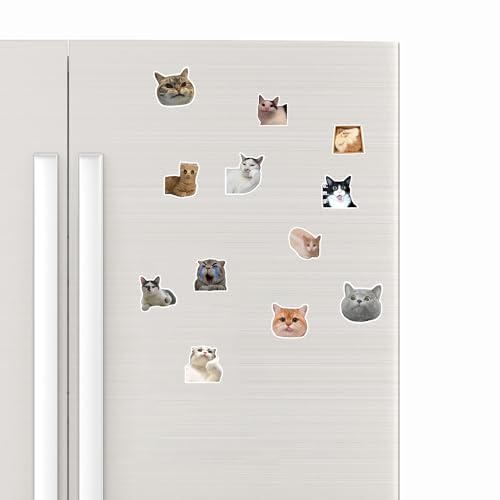 12 imanes decorativos redondos de gato divertido miniatura 2