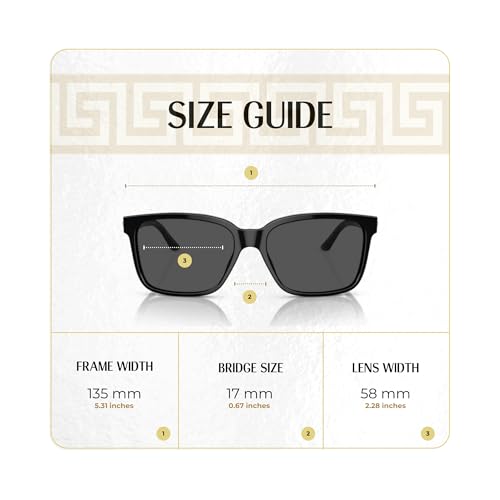 Versace VE4307 Square Sunglasses For Men +BUNDLE with ACCESSORY EYEWEAR KIT4