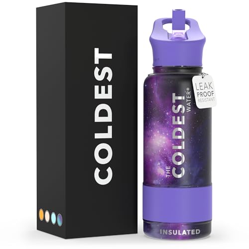 Coldest Insulated Water Bottle with Straw Lid - Stainless Steel Metal Insulated Bottle for Men & Women (Astro Purple, 32 oz)