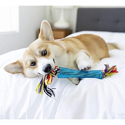 Petstages Orka Stick Alternative Dog Chew Toy