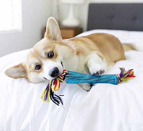 Petstages Orka Stick - Kauspielzeug für Hunde - Alternative zum Stöckchen - Royalblau