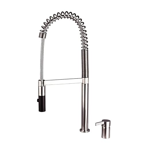 Kitchen Tap Pull-Out Sink Mixer Tap with Sprayer High Arc Taps