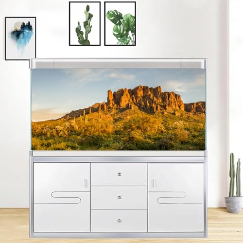 image for iTapnoom Reptile Habitat Background, Oasis Orange Desert Cactus Mounta