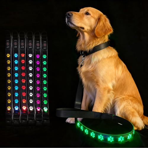 Guinzaglio per cani a LED, 1,2 m, illuminato, guinzaglio da jogging per cani, sette colori, ricarica USB, guinzaglio per cani, guinzaglio per cani di taglia grande, media e piccola taglia