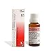 Dr. Reckeweg R1 Inflammation Drop
