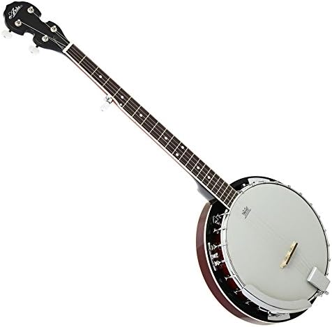 Amazon.co.jp: ARIA アリア 5弦バンジョー REMO Banjo Head SB-10  