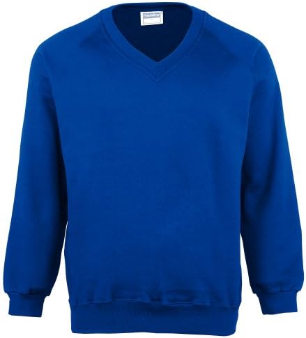 Maddins Mens Colorsure V-Neck Sweatshirt (XL) (Royal) Apparel