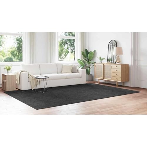 Alfombra Shaggy Gris Oscuro 240x340 cm QUAHEAS Antideslizante 6