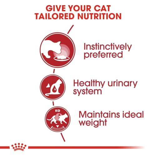 Royal Canin Instinctive Jelly | 12 x 85 g | Alleinfuttermittel für Katzen | Ausgewogene Rezeptur
