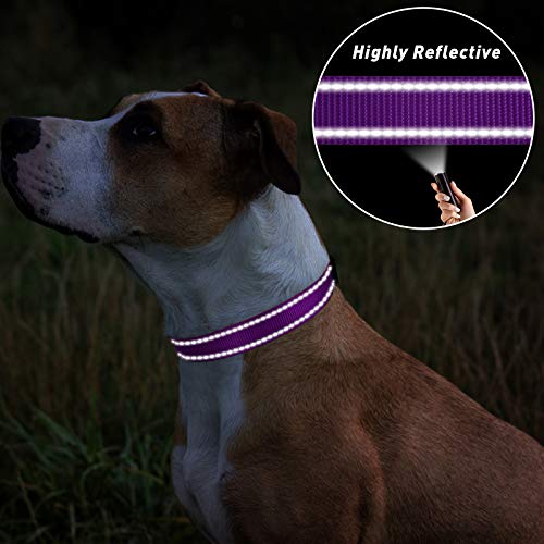 Tagme Reflective Nylon Dog Collars, Adjustable Classic Dog Collar With Quick Release Buckle For Medium Dogs, Purple, 1.0" Width #TOP4