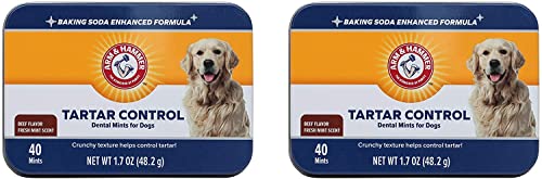 Arm & Hammer Tartar Control Dental Mints for Dogs, Beef Flavor, 40 Ct, 2-Pk - image 1