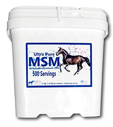 MSM 11lbs | 500 Servings