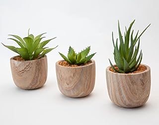 Evoke Living 3 Piece Artificial Succulents Plants Potted Decorative Fake Succulent Plant in Pots Faux Plastic Plant Indoor for Bedroom Office Desk Kitchen Decor Gift Set