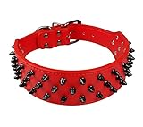 Dogs Kingdom Leather Black Spiked Studded Dog Collar 2' Wide, 31 Spikes 52 Studdeds Pit Bull, Boxer...