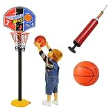 Tragbares Basketballbrett, alles in einer Box.