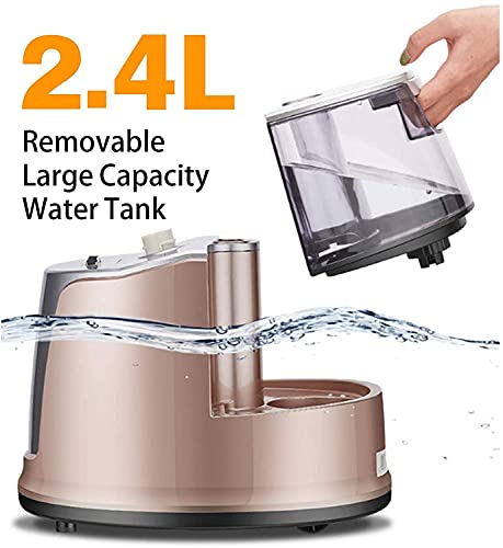 Fabric Garment Steamer for Clothes Hanging Full Size 2.4 Liter 2000W Infinite ?Steam Adjustment - Gold