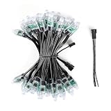 REXTiN 24V WS2811 LED Pixel Light - Programmable Christmas Lights String IP68 ：Addressable RGB LED String Lights - 12mm Bullet Pixels for Christmas Decor DIY Projects (50pcs with 3pin Connector)