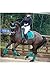 Woof Wear Vision Close Contact Pad WS0007 - British Racing Green Size - Full
