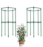 2 Pcs Small Tomato Cages for Garden Adjustable Micro Plant Support Cage, Mini Plant Support Stakes f